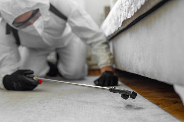 Professional Bed Bug Control technician working in Mora County County, NM